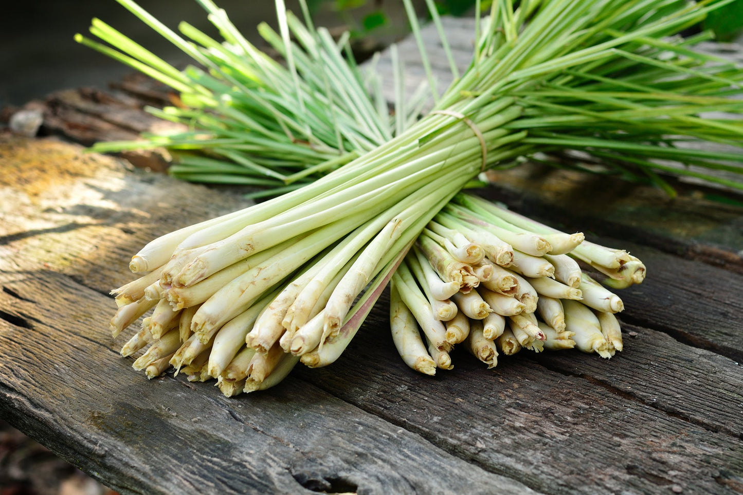 MAXIMUS - Lemongrass Natural Glycerin Handmade Soap